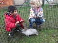 nursery-roger-rabbit