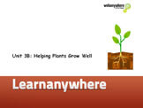 helping-plants-grow-well